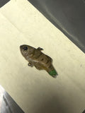 River2sea baby vibe 42mm